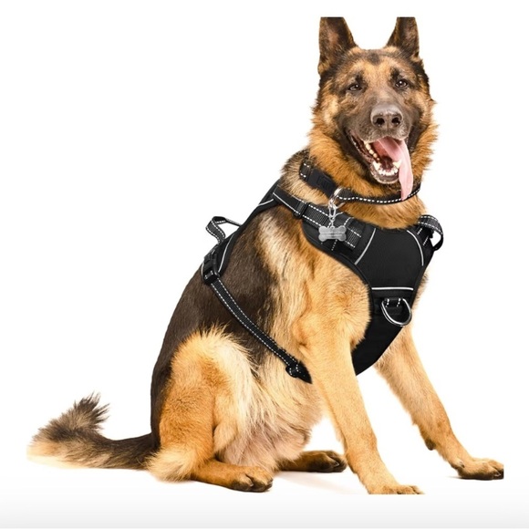 Other - Black Dog Harness 050